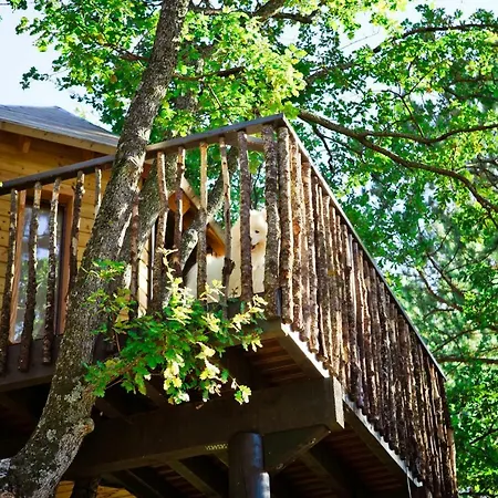 Lodge Ferme Fortia